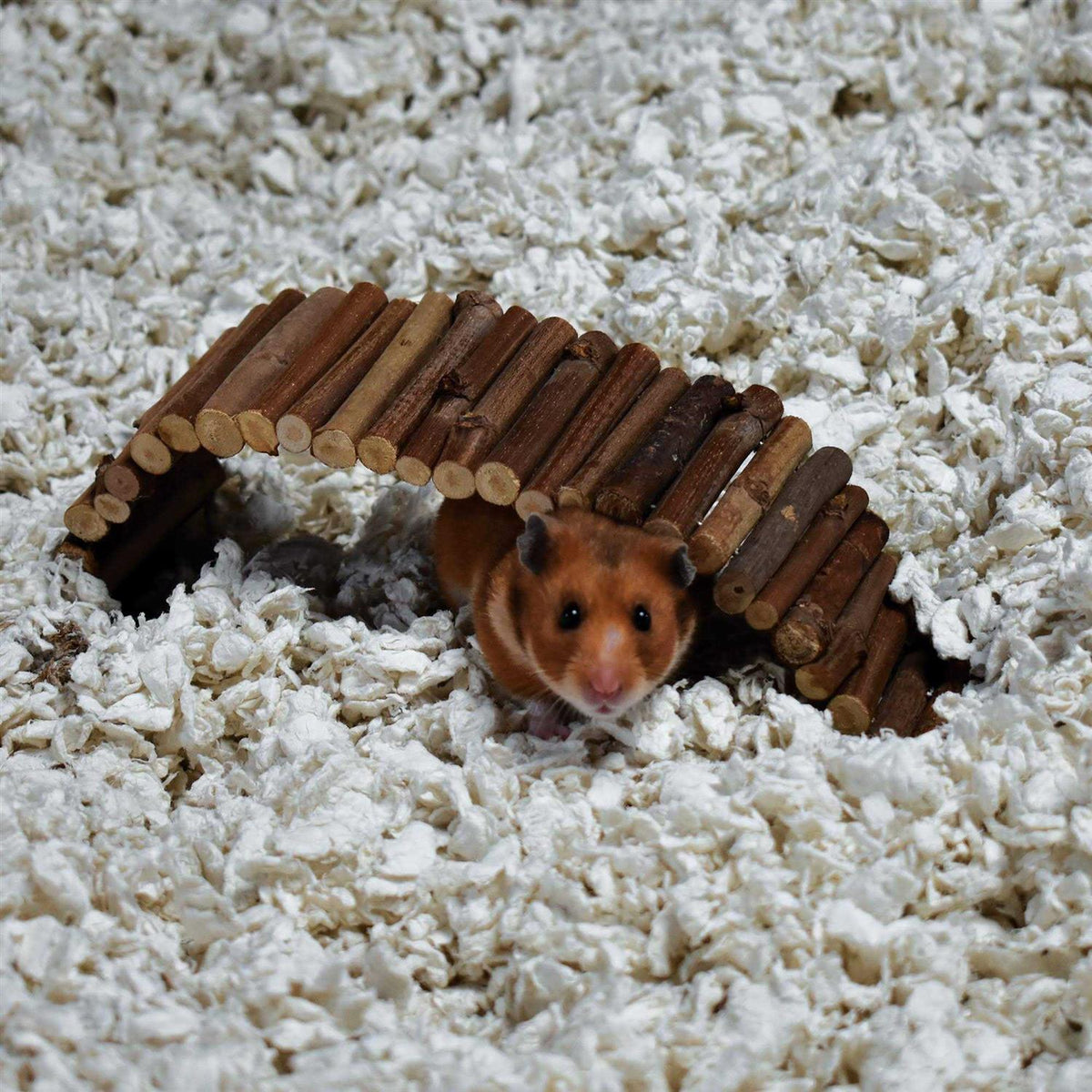 White Small Pet Bedding M515144