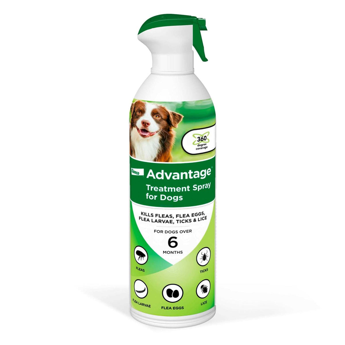 Flea & Tick Treatment Spray for Dogs X5718
