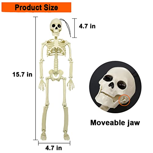 5.9FT Plastic Full Size Human Skeleton with Movable Joints X48046