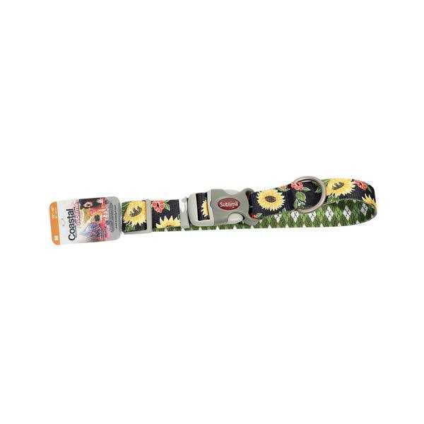 Adjustable Dog Collar J442510