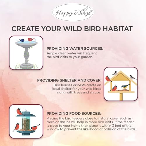 Peanuts Wild Bird Food 5 Pounds G903506