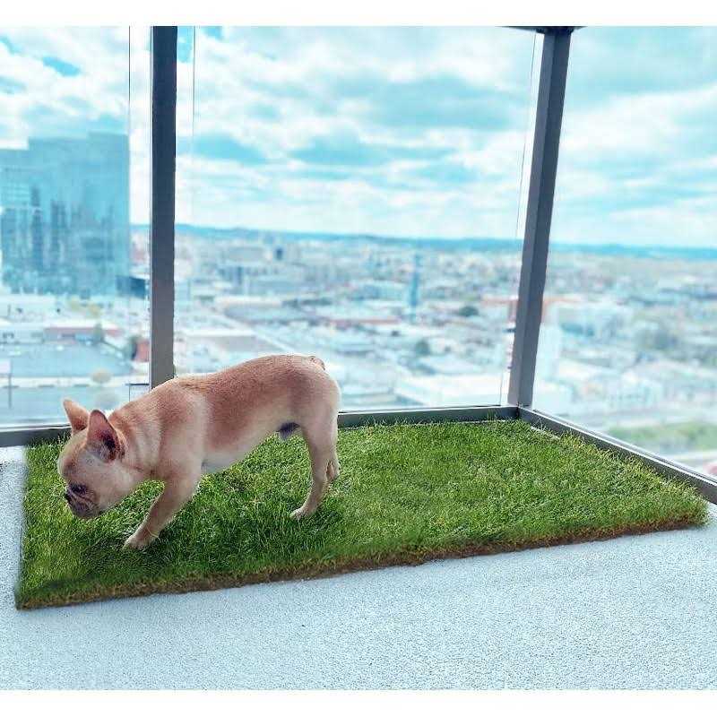 Real Grass Dog Potty T937