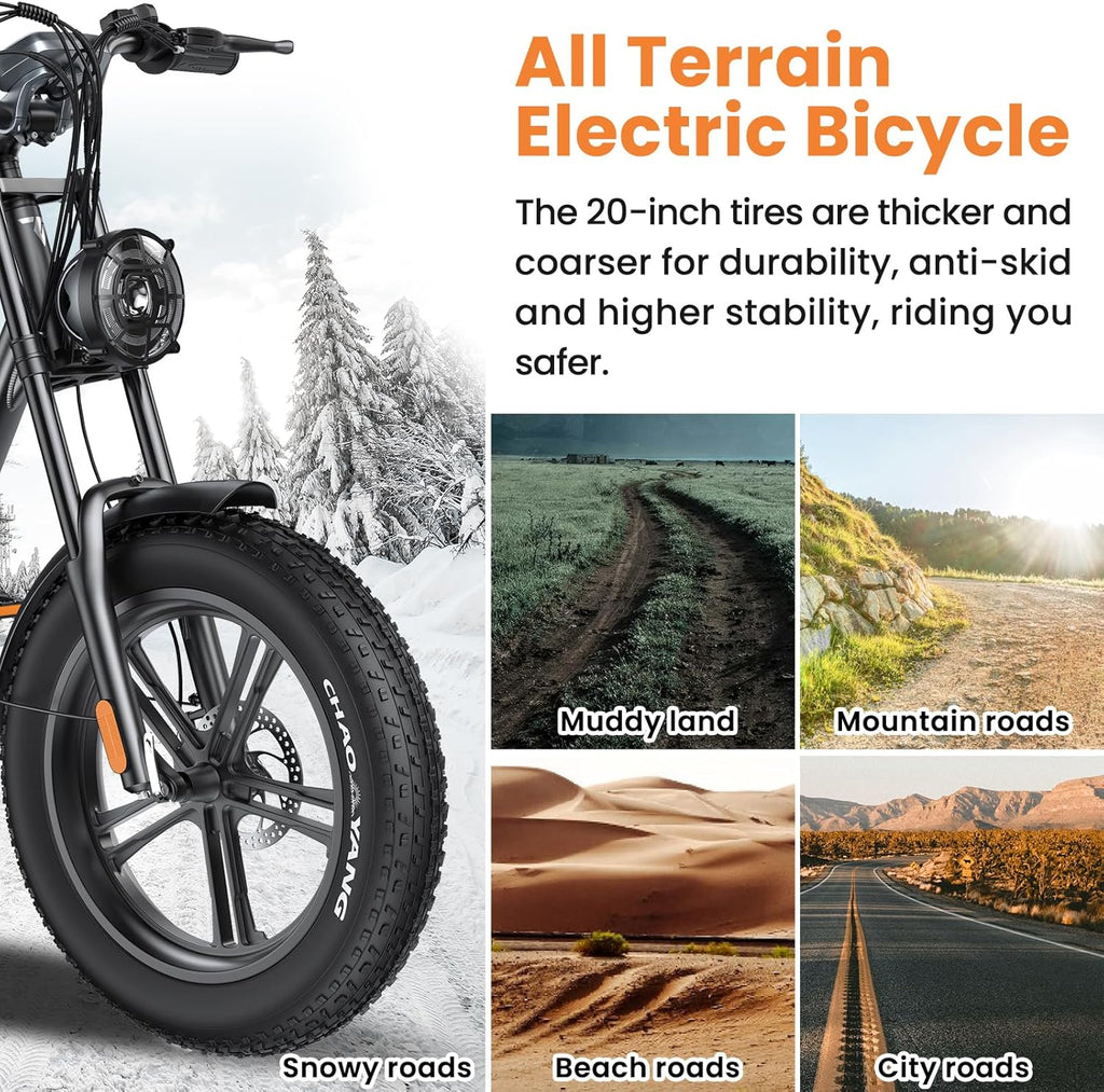 20" Fat Tire 48V 15.6AH Removable Battery Electric Bike U2128