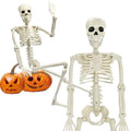5.9FT Plastic Full Size Human Skeleton with Movable Joints X48046