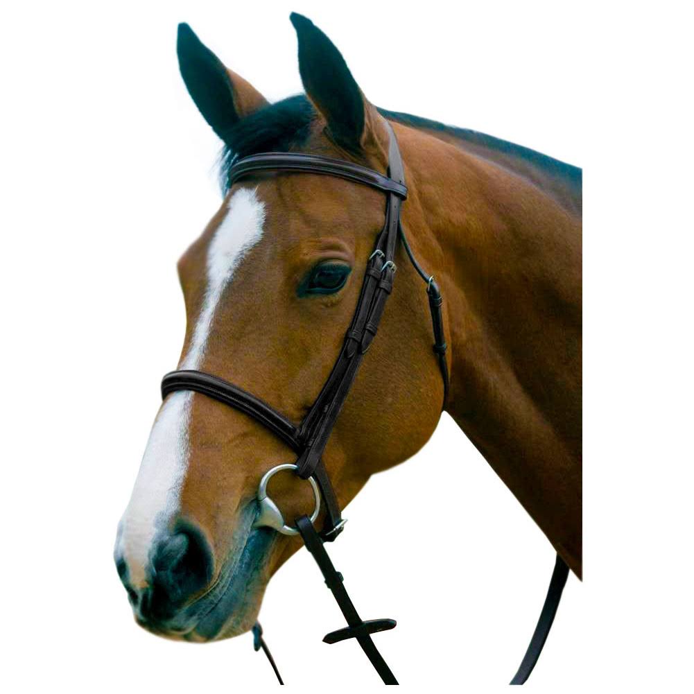 Black Raised Cavesson Snaffle Bridle A1151