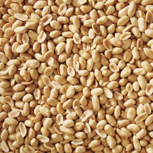 Peanuts Wild Bird Food 5 Pounds G903506