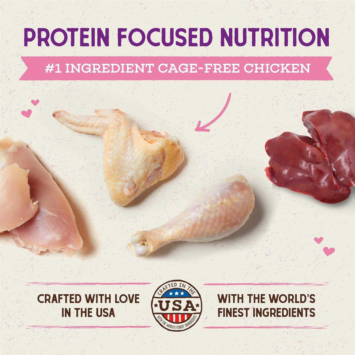 Chicken Kitten Dry Cat Food R6874