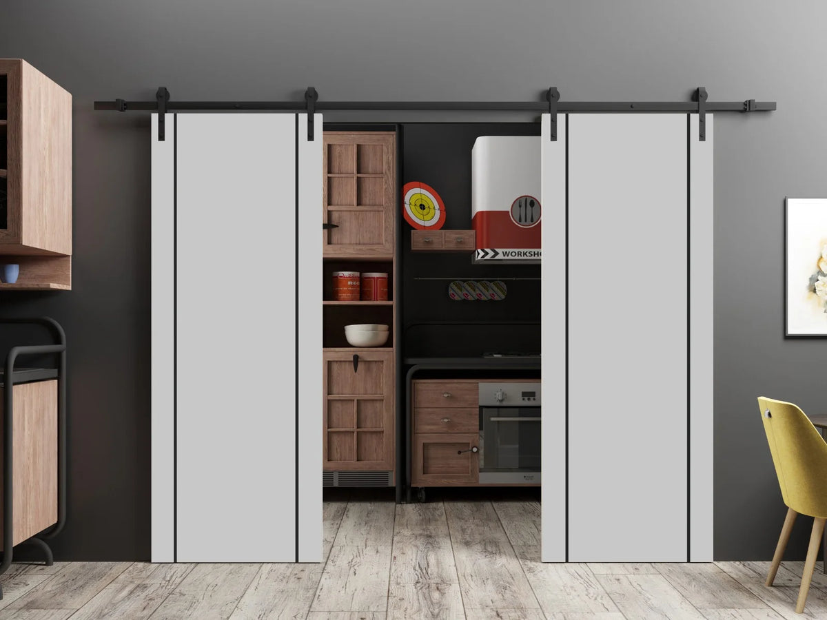 Double Barn Door 36 x 80 inches with Frosted Glass F55115