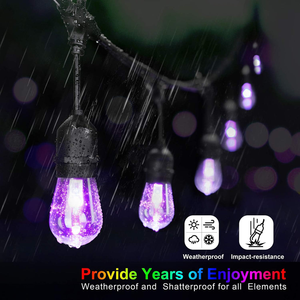 48FT RGB Cafe String Lights with 18 Shatterproof Edison Bulbs D408087