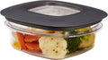 1.25 Cup Gray Food Storage Containers B316401