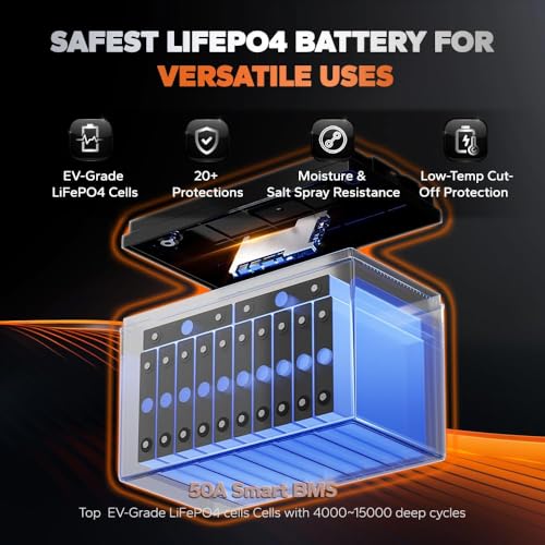 36V 50Ah LiFePO4 Battery with 43.8V 25A Charger Q2764