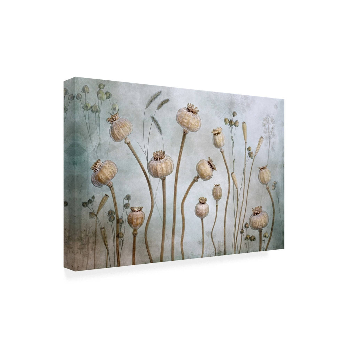 Canvas Art C229672