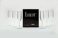Set of 6 Crystal Clear Tritan Plastic Champagne Flutes Y414727