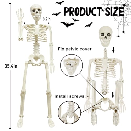 5.9FT Plastic Full Size Human Skeleton with Movable Joints X48046