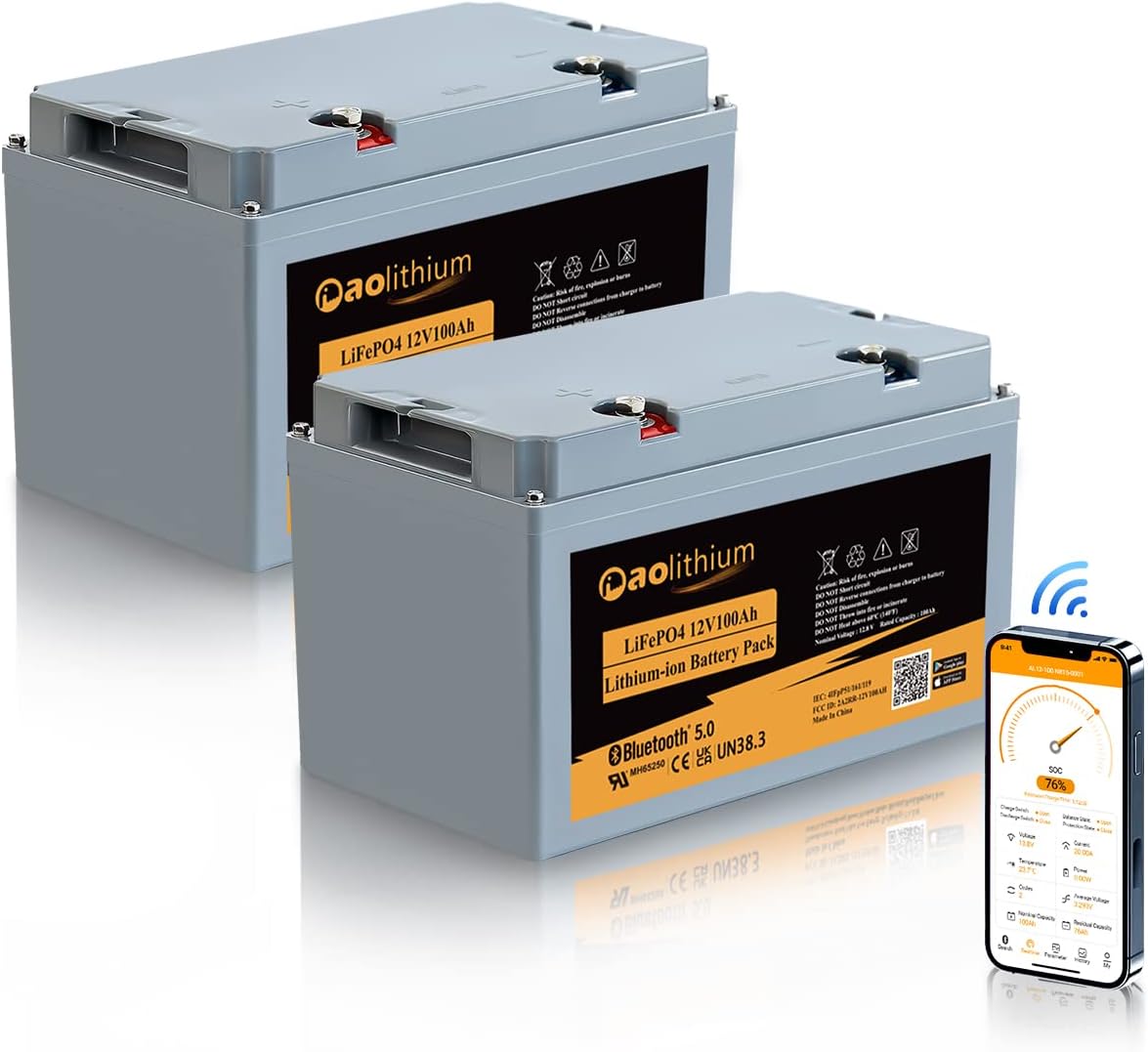 100ah 12V LiFePO4 Battery with Bluetooth Y455