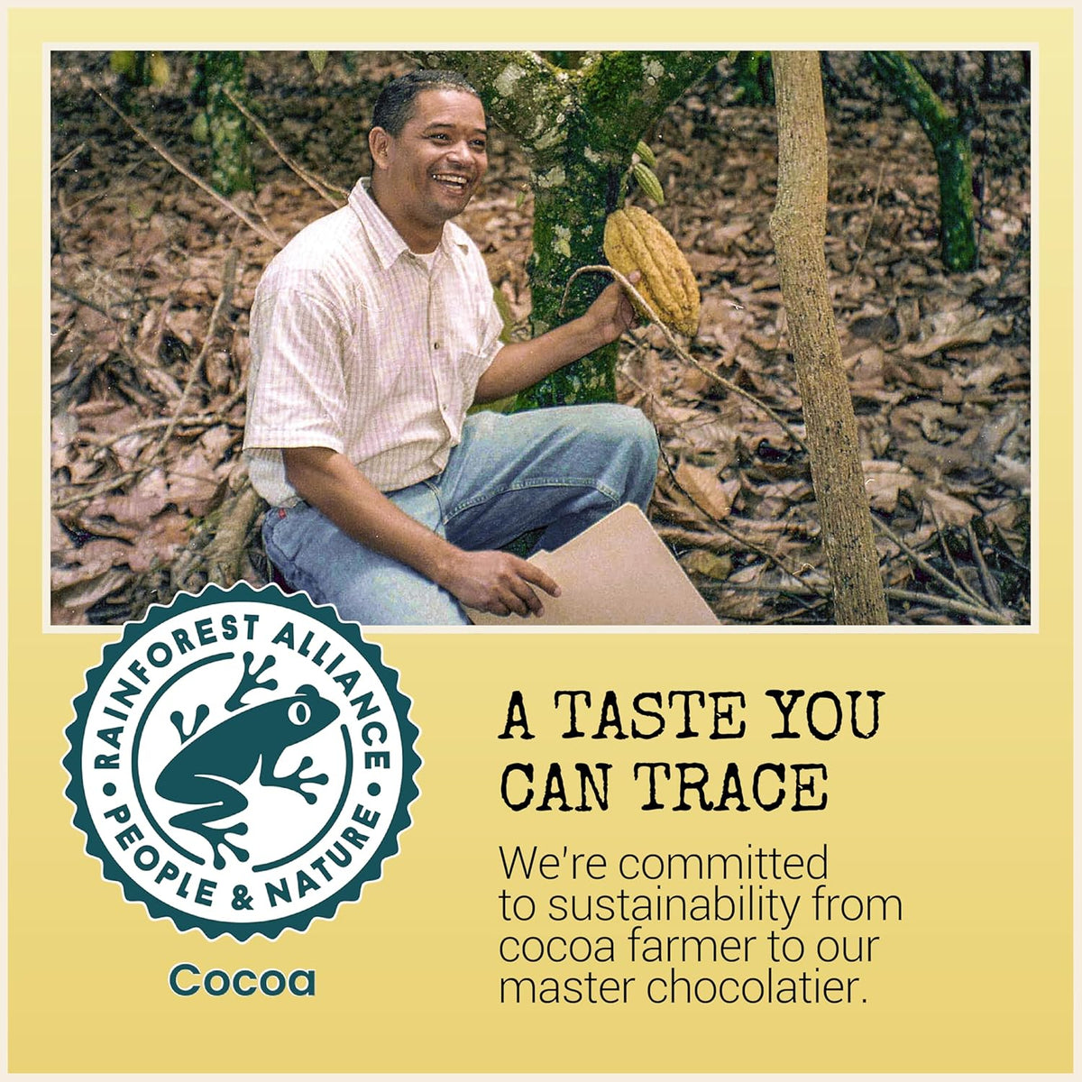 Dark Chocolate Bars 55% Cocoa 3.2oz Bar 12 Pack B9522