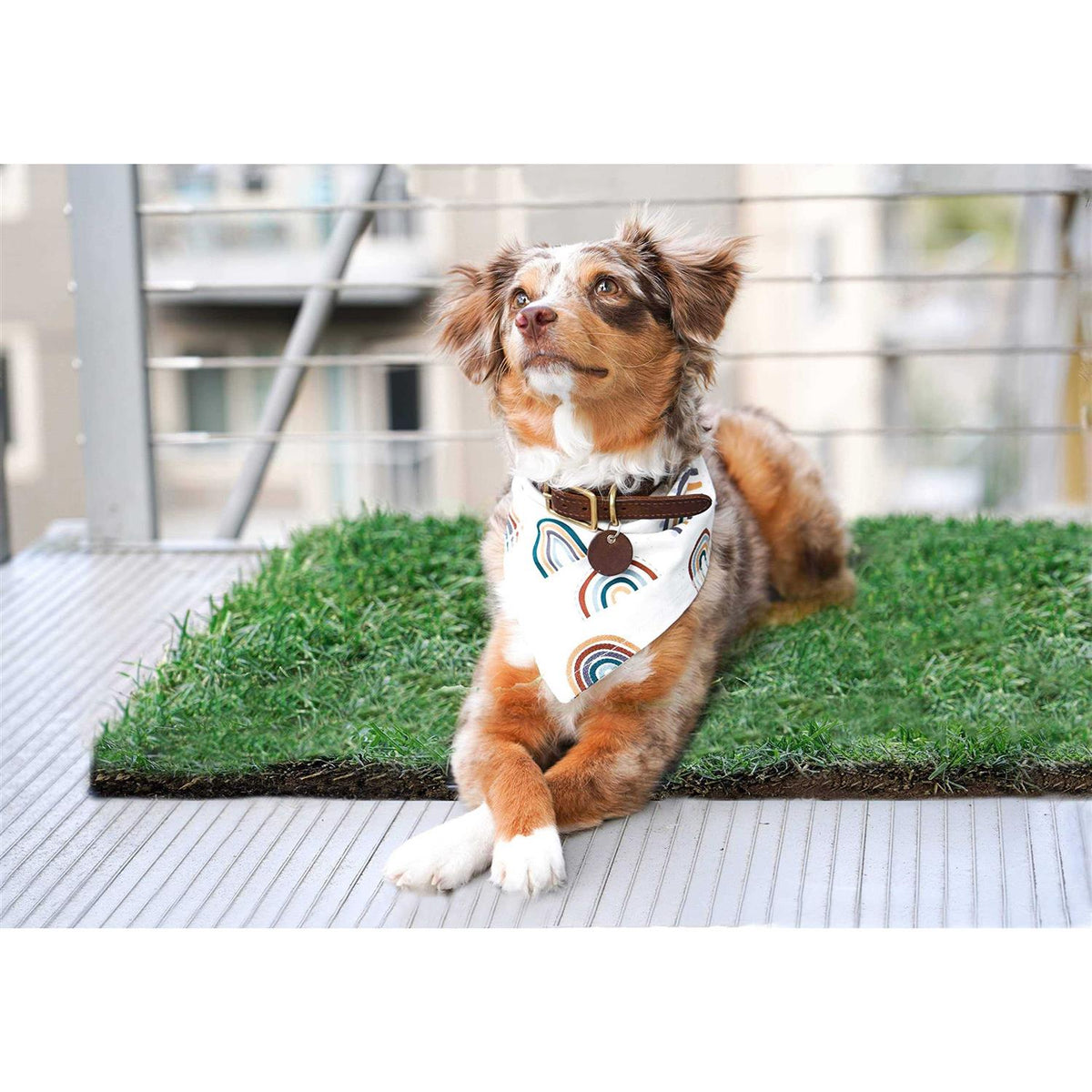 Real Grass Dog Potty T937