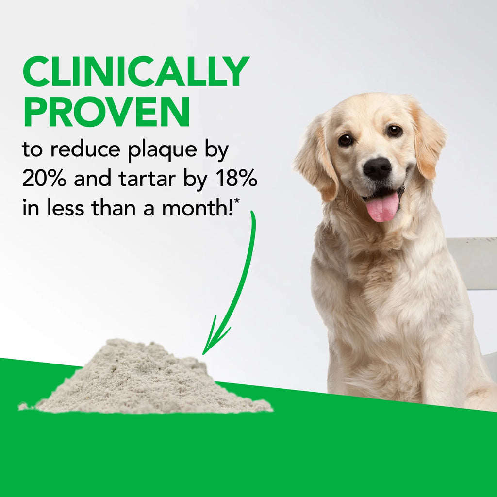 Dental Care Powder for Cats and Dogs 4.2 oz Z1711