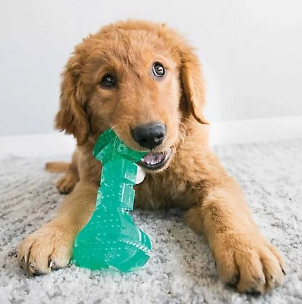 Dog Toy Medium 1 Count J480