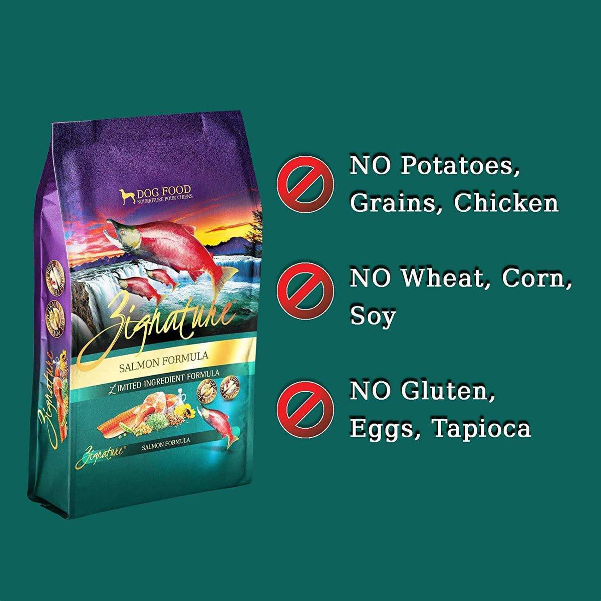 Salmon Formula Dry Dog Food B973
