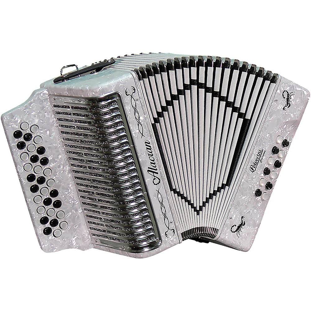 Accordion with Case and Straps White Sol/GCF F807