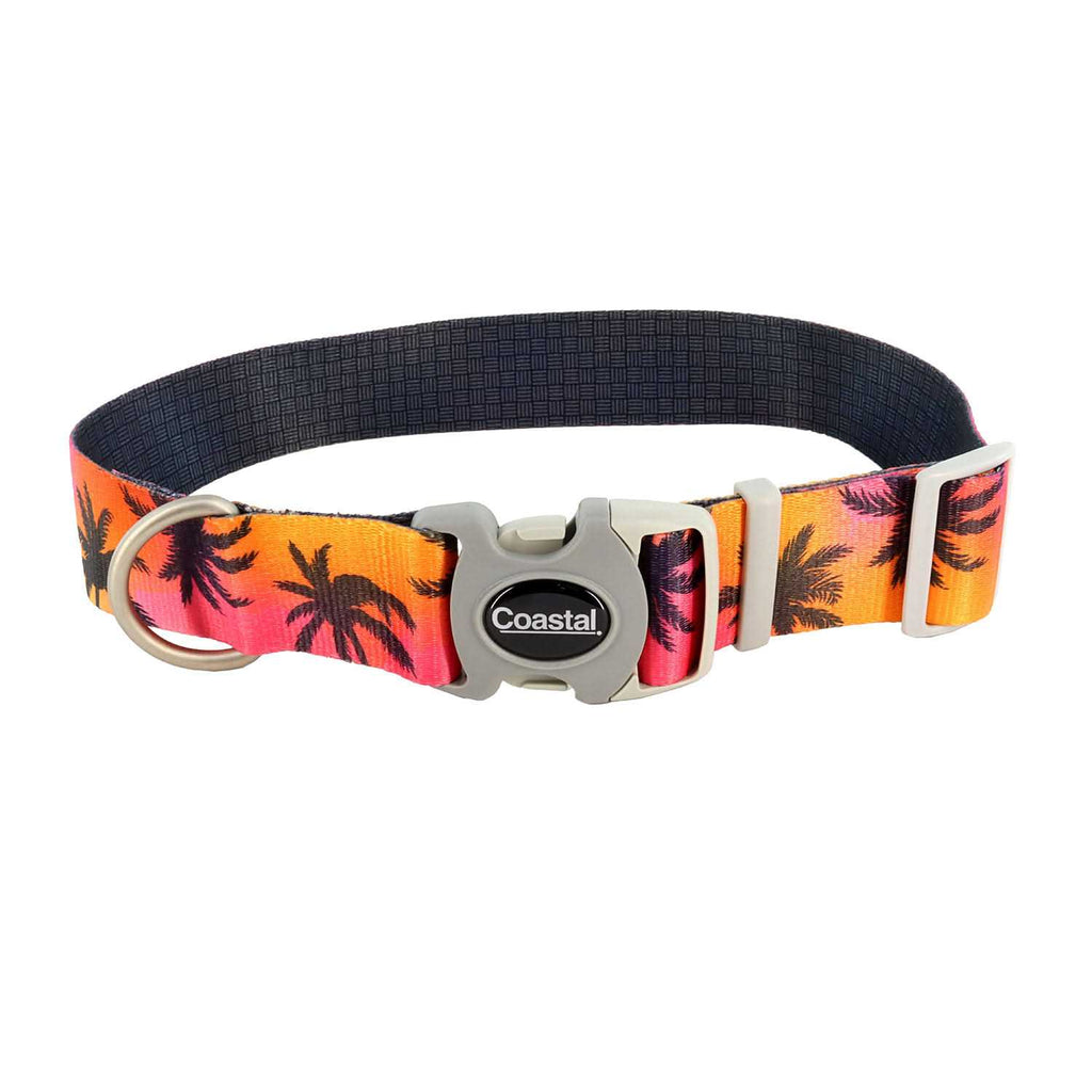 Adjustable Dog Collar J442510