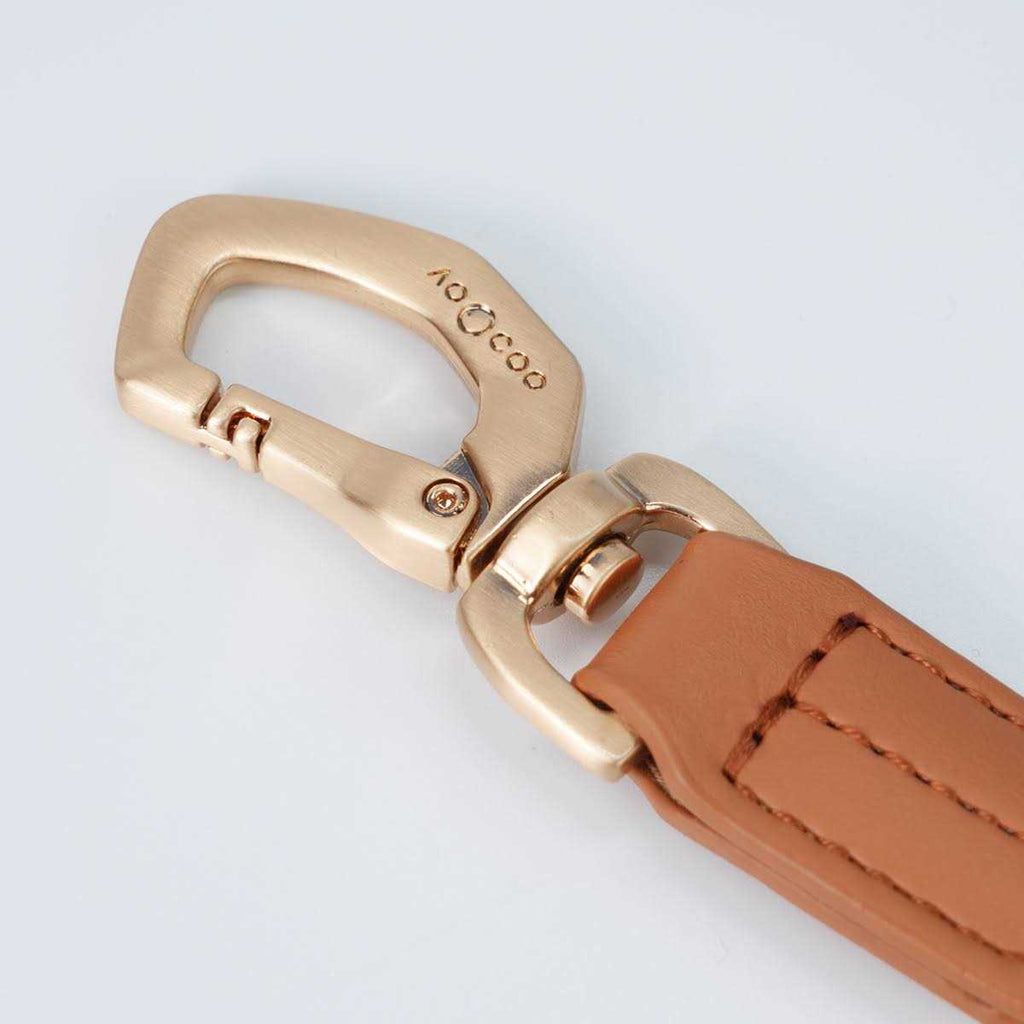 Pet Harness and Leash Set Y653052