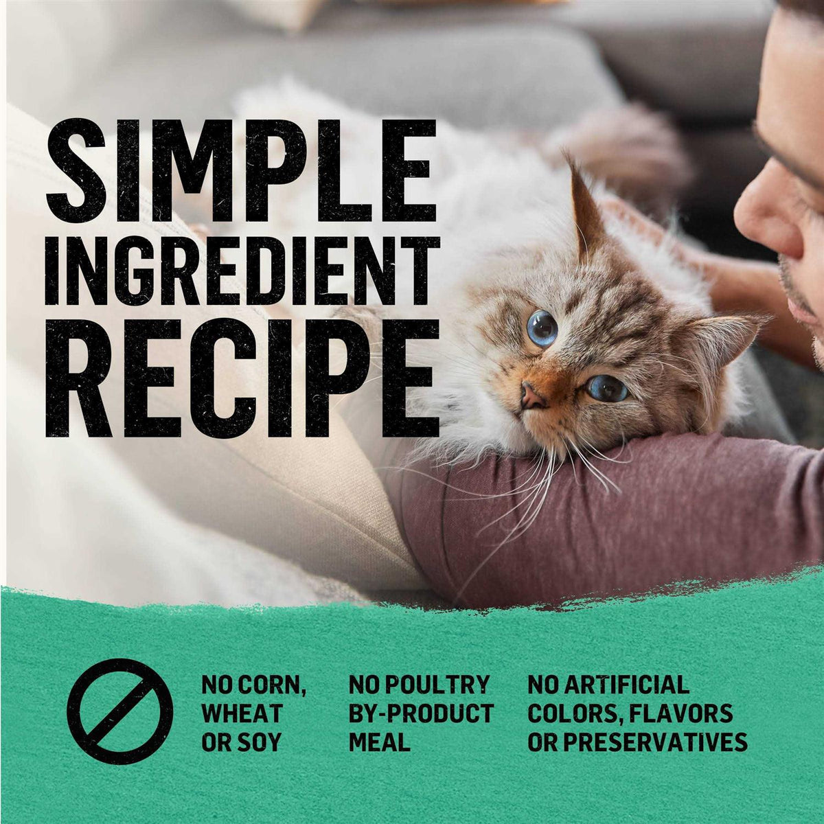 Grain Free Dry Cat Food K86621