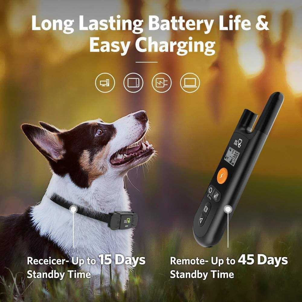 Dog Training System C9669