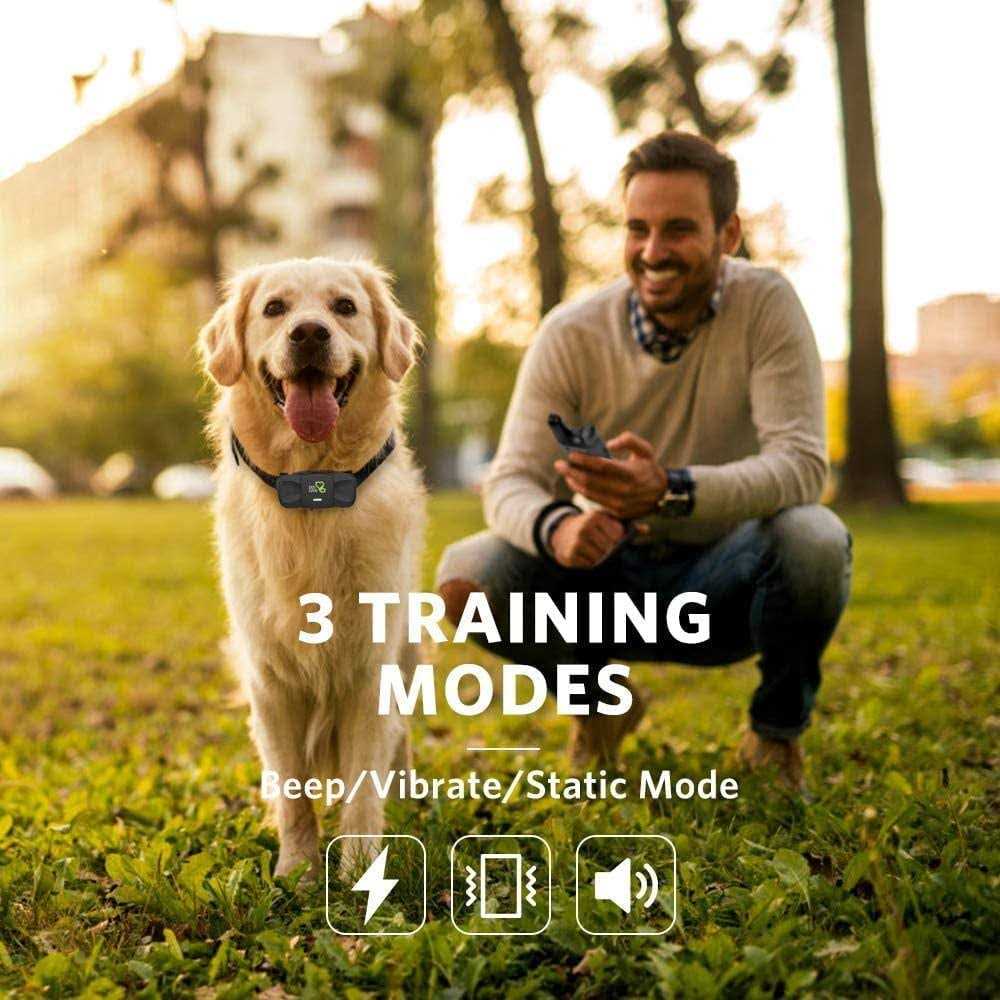 Dog Training System C9669