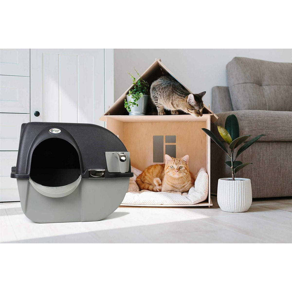 Self Cleaning Litter Box F641