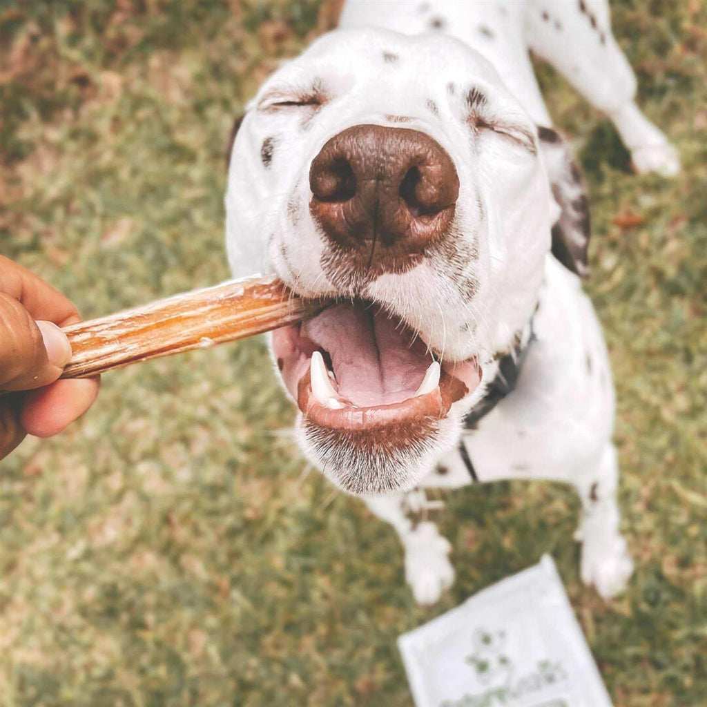 Natural Beef Bully Sticks for Dogs Q47417