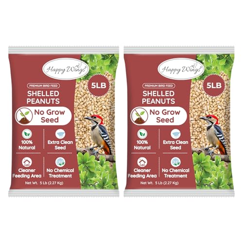 Peanuts Wild Bird Food 5 Pounds G903506
