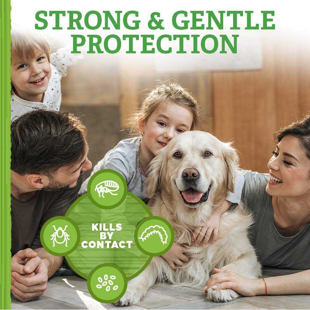 Shampoo Flea Tick I962360
