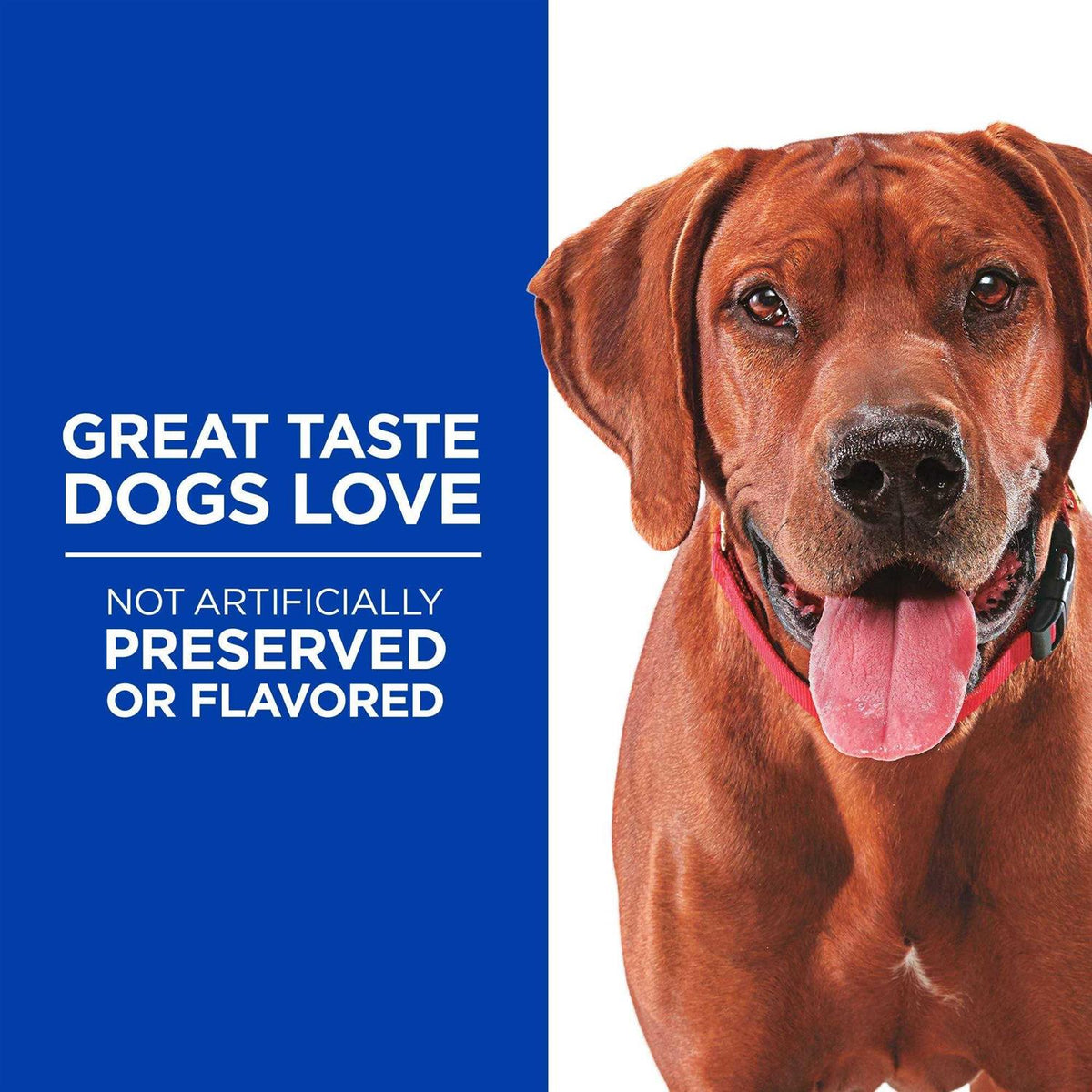Grain Free Soft-Baked Dog Treats V164270