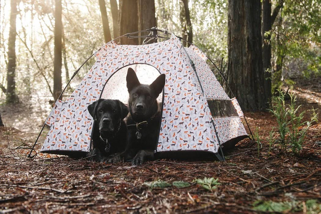 Outdoor Dog Tent - One Size J19543