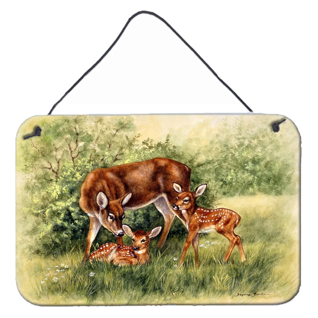 Deer Wall or Door Hanging Prints 8x12 E1860