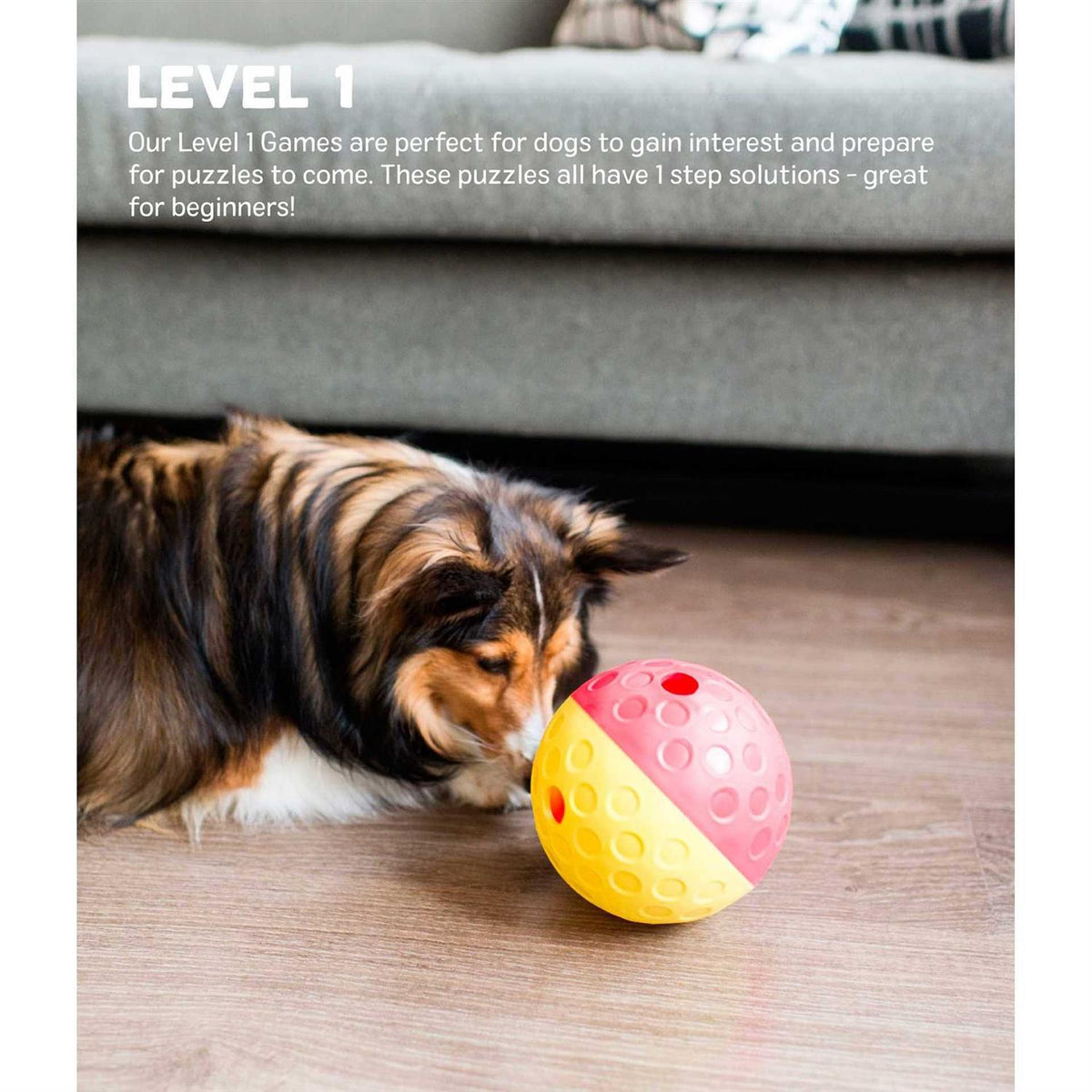 Treat Tumble Dog Toy F9407