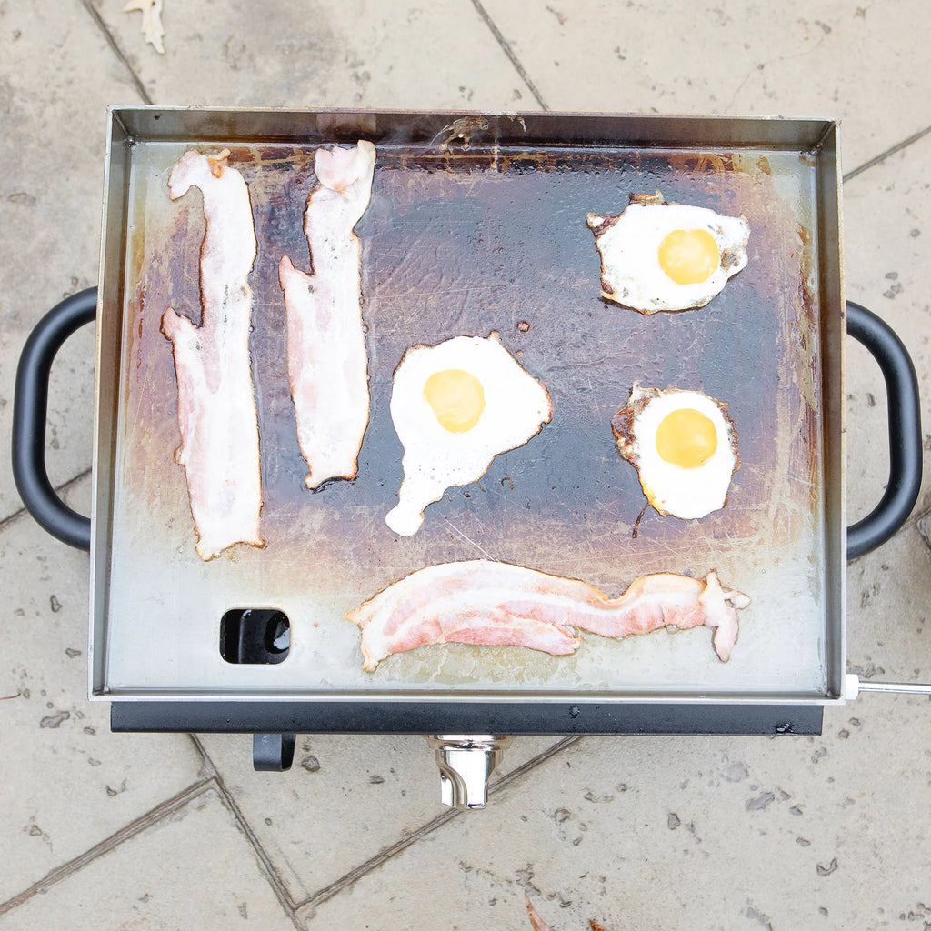 Portable 1 Burner LP Propane Gas Grill D476