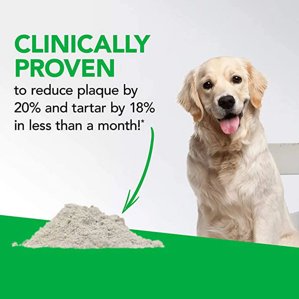 Dental Care Powder for Cats and Dogs 4.2 oz Z1711