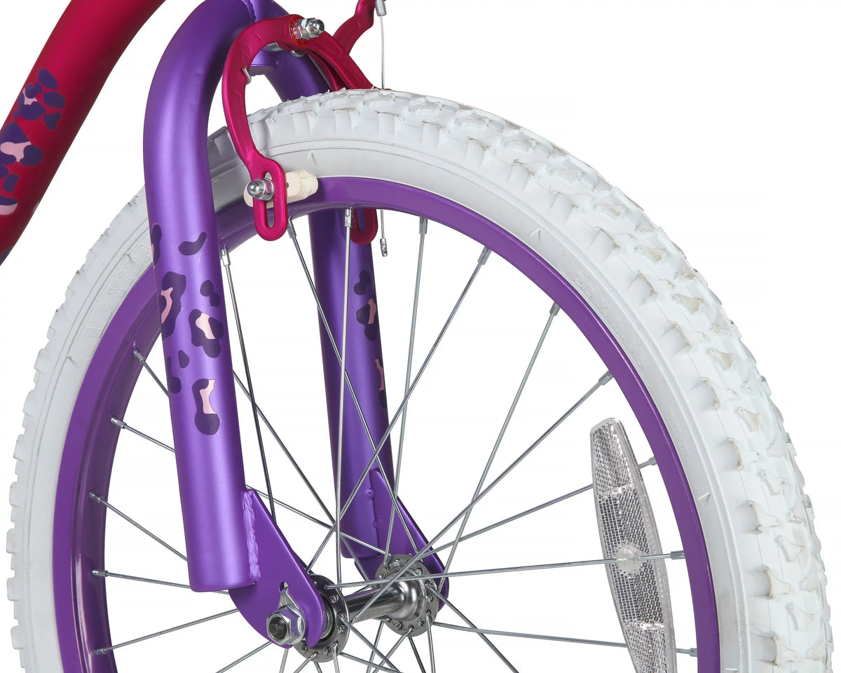 20-Inch Girls BMX Bike Y114325
