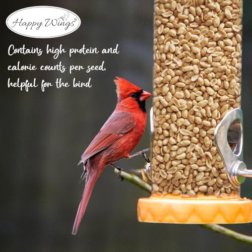 Peanuts Wild Bird Food 5 Pounds G903506