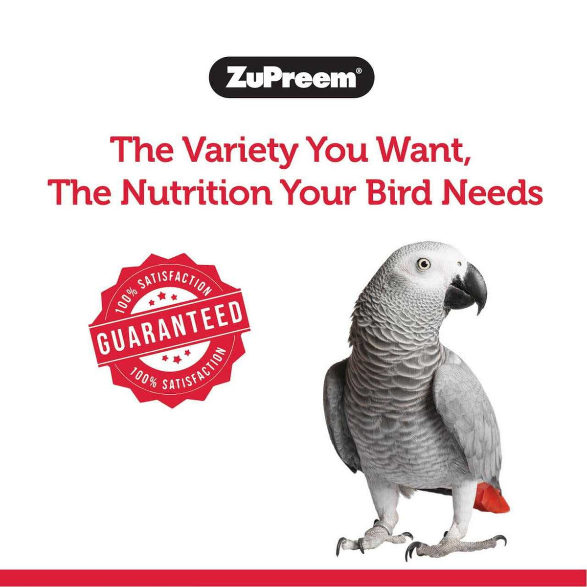 FruitBlend Flavor Bird Food K849756