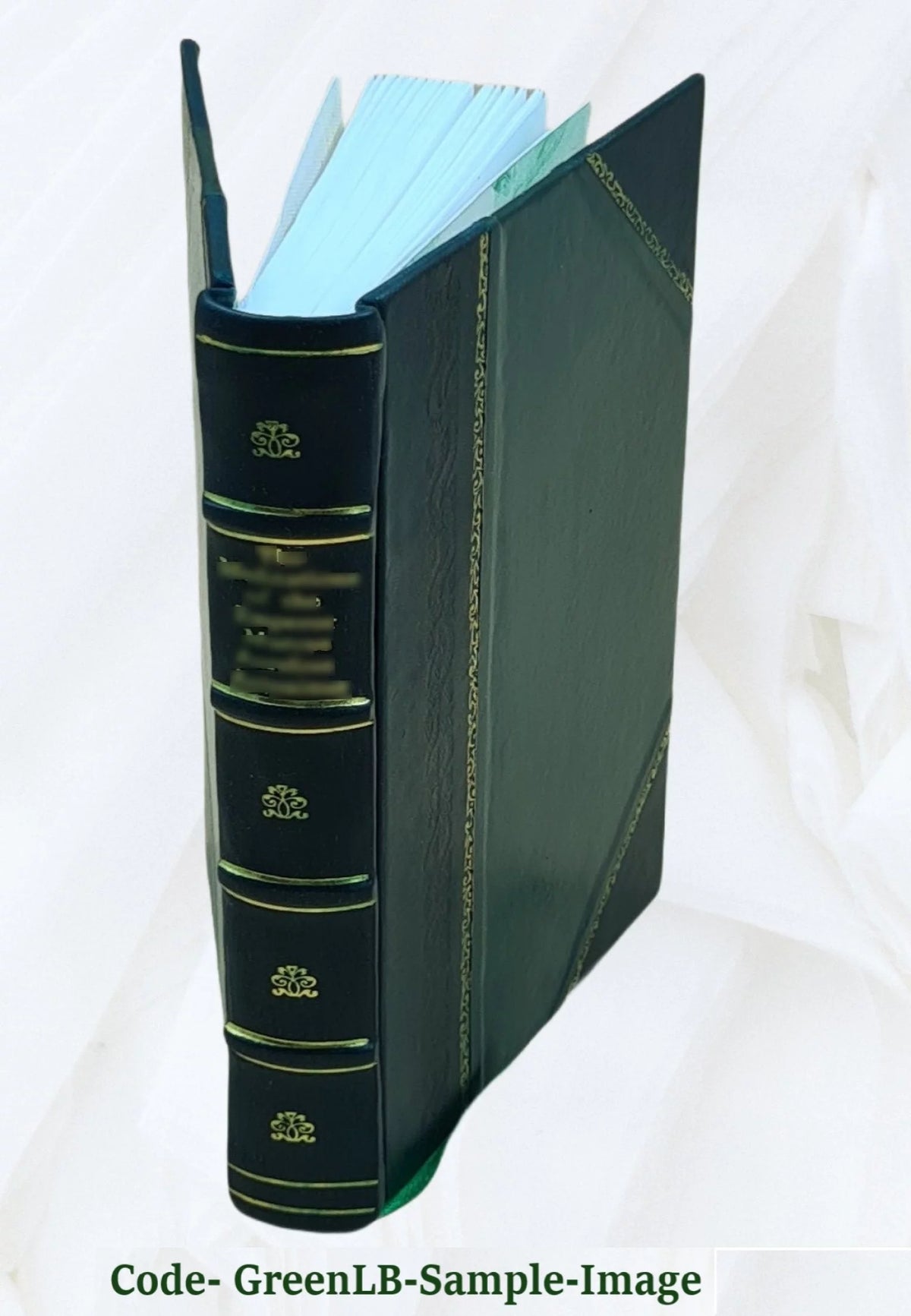 Satirical Journal Leather Bound A548645