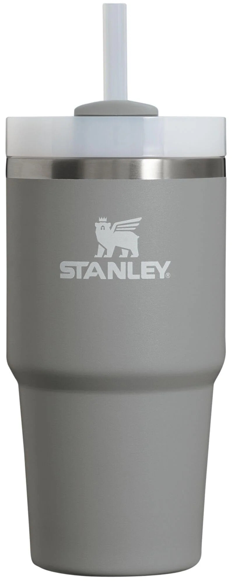 20 oz Stainless Steel Vacuum Insulated Tumbler with Lid and Straw W270